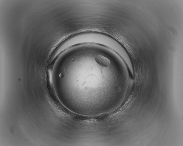 X0000111840112200907231416