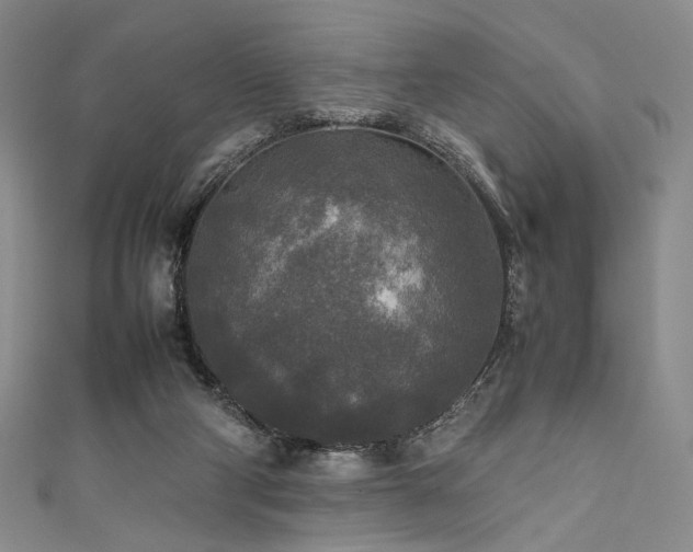 X0000111840114200907231416