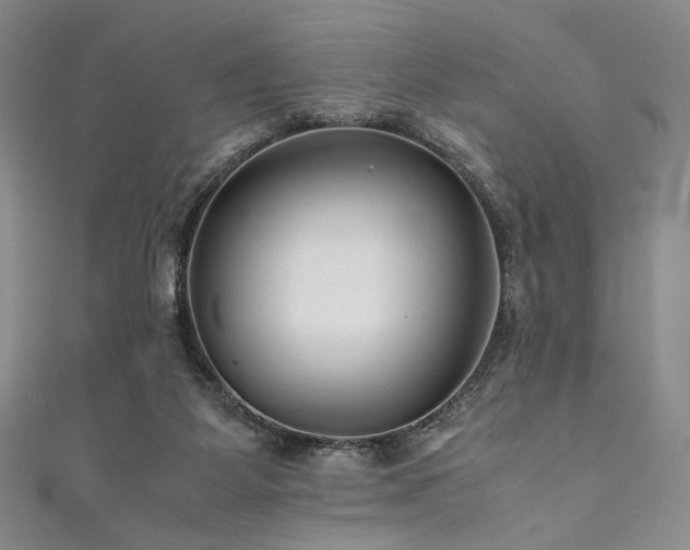 X0000111840115200907231416