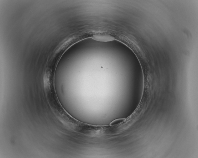 X0000111840116200907231416