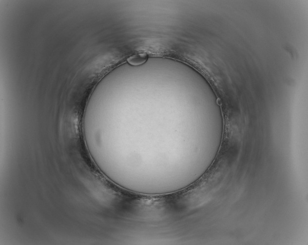 X0000111840117200907231416