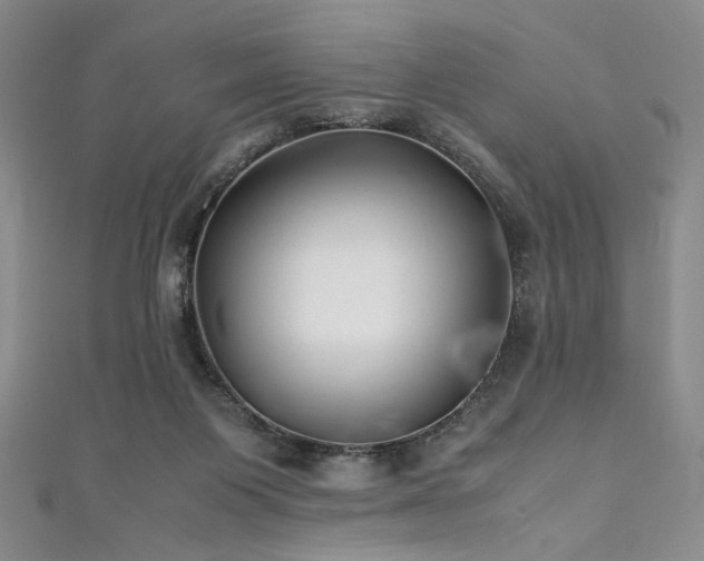 X0000111840119200907231416