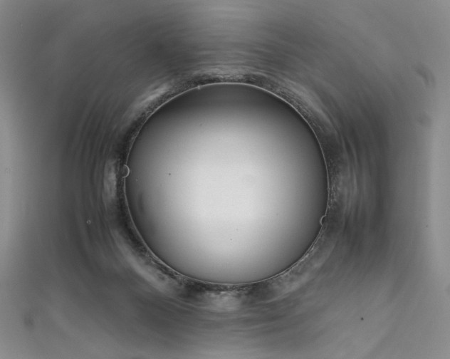 X0000111840120200907231416