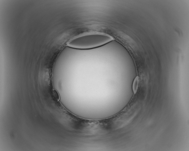 X0000111840121200907231416