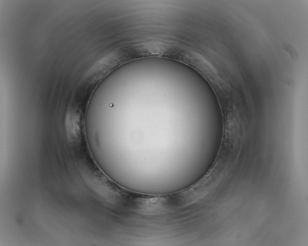 X0000111840122200907231416