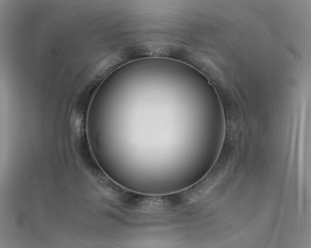 X0000111840123200907231416