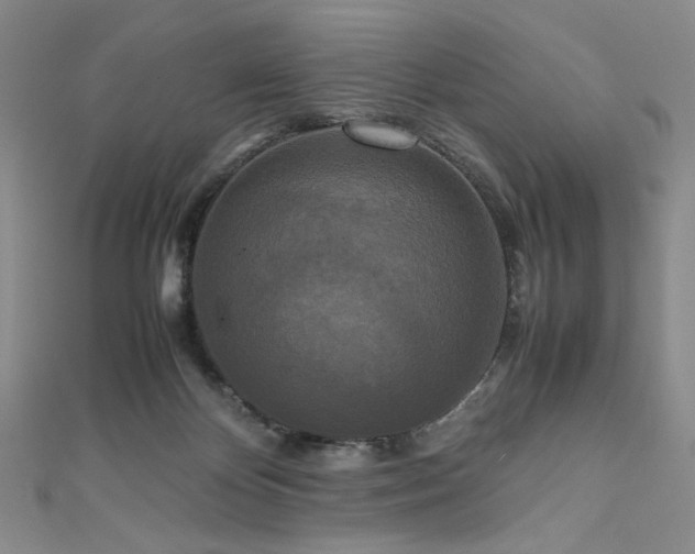 X0000111840124200907231416