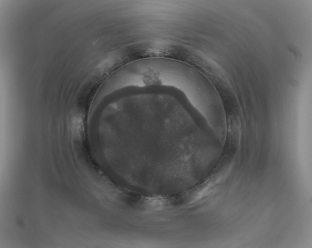 X0000111840127200907231416