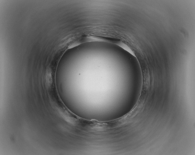 X0000111840128200907231416