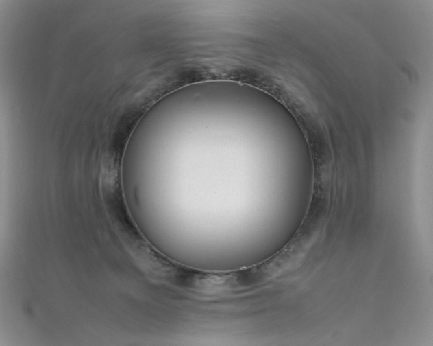 X0000111840129200907231416