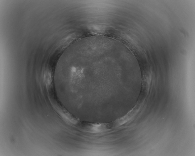 X0000111840130200907231416