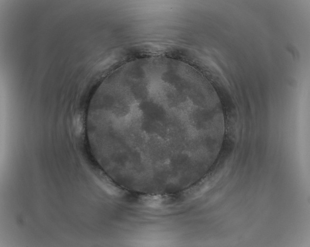 X0000111840131200907231416