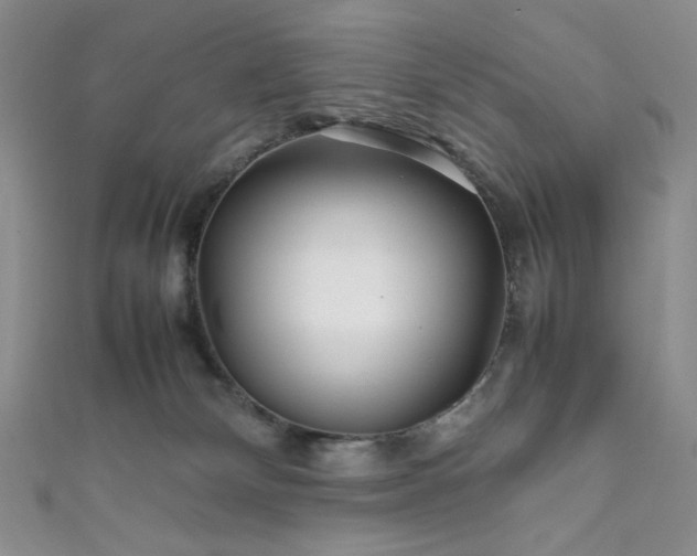 X0000111840132200907231416