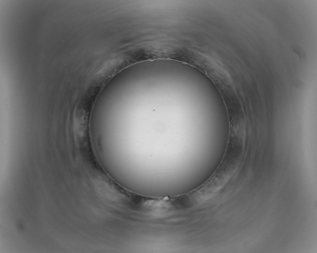 X0000111840133200907231416