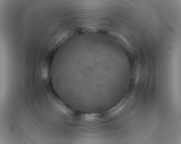 X0000111840134200907231416