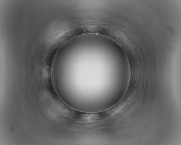 X0000111840135200907231416