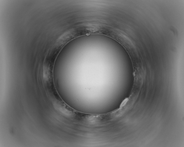 X0000111840136200907231416