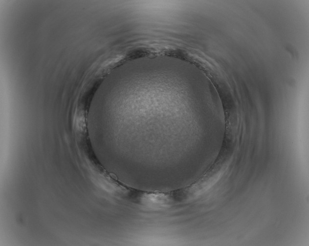 X0000111840137200907231416