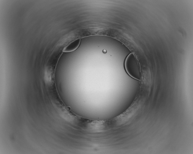 X0000111840138200907231416