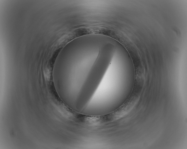 X0000111840139200907231416