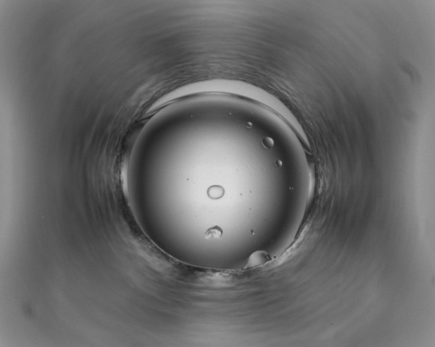 X0000111840140200907231416