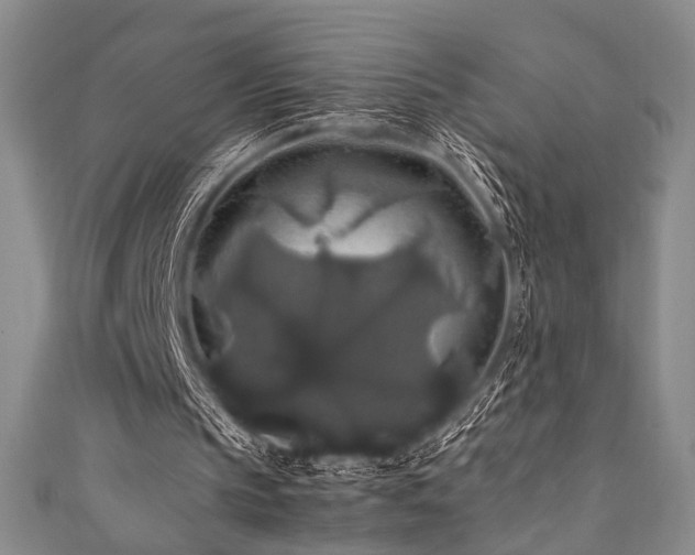 X0000111840145200907231415