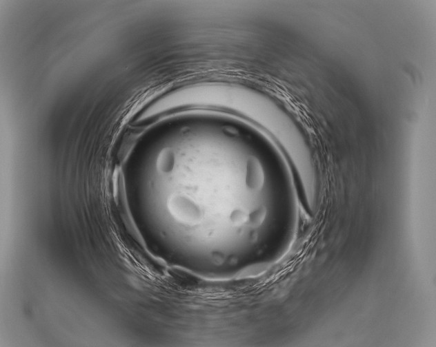 X0000111840146200907231415