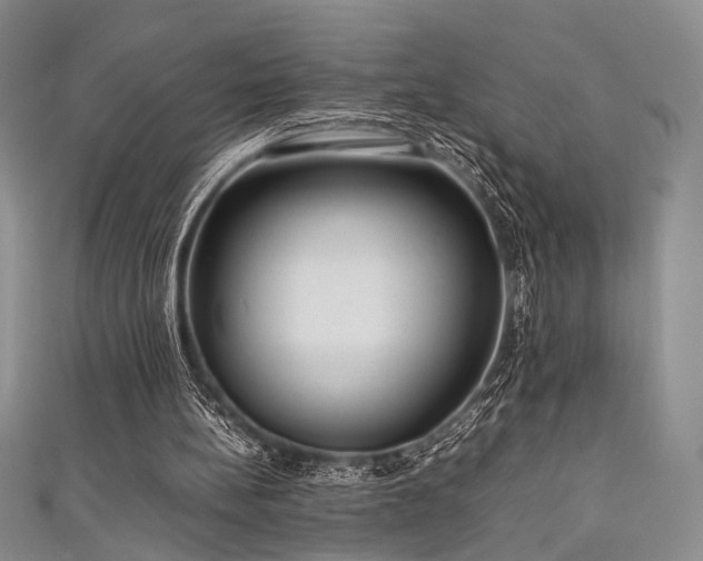 X0000111840148200907231415