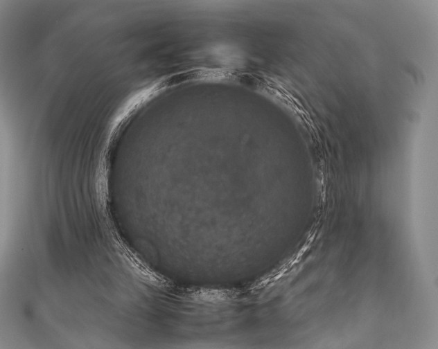 X0000111840149200907231415