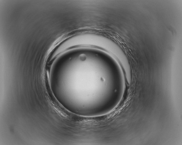 X0000111840150200907231415