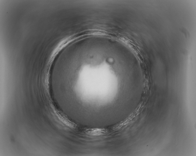 X0000111840151200907231415