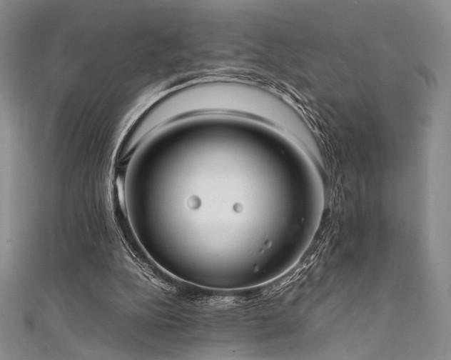 X0000111840152200907231415