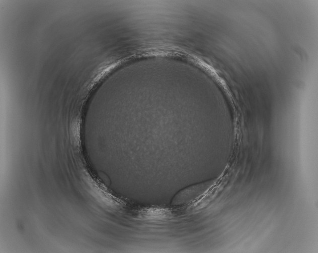 X0000111840154200907231415