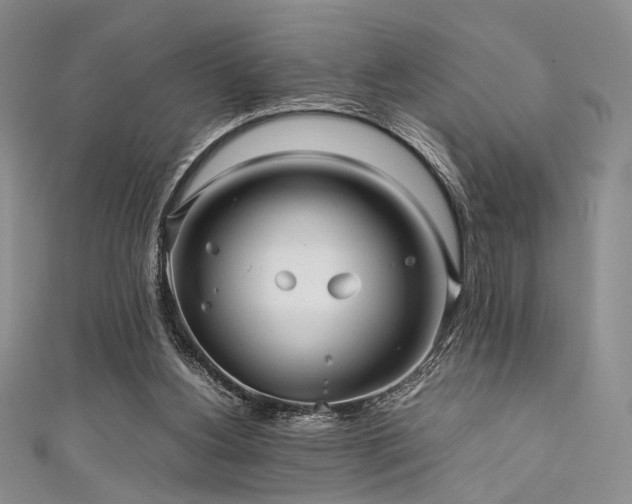 X0000111840156200907231415