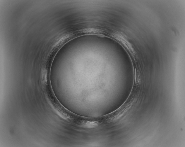 X0000111840157200907231415