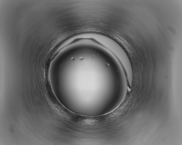 X0000111840158200907231415