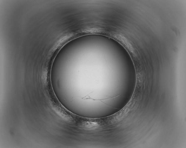 X0000111840159200907231415