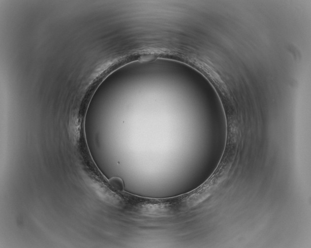 X0000111840160200907231415