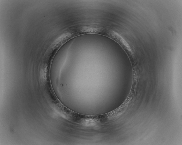 X0000111840163200907231415