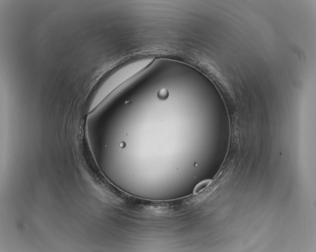 X0000111840164200907231415