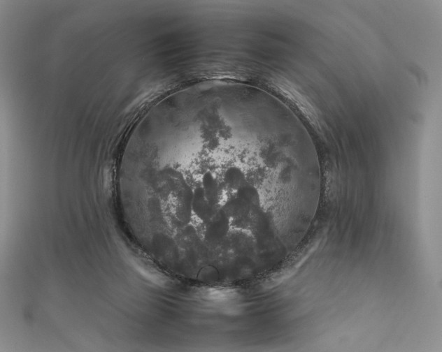 X0000111840165200907231415