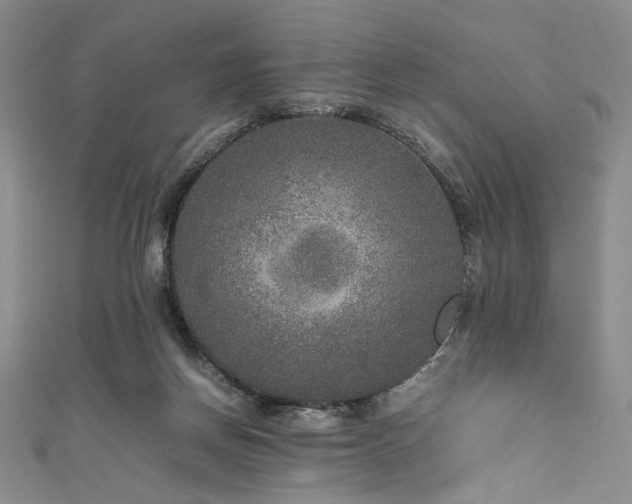 X0000111840166200907231415