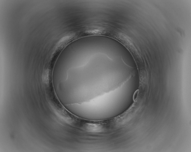 X0000111840167200907231415