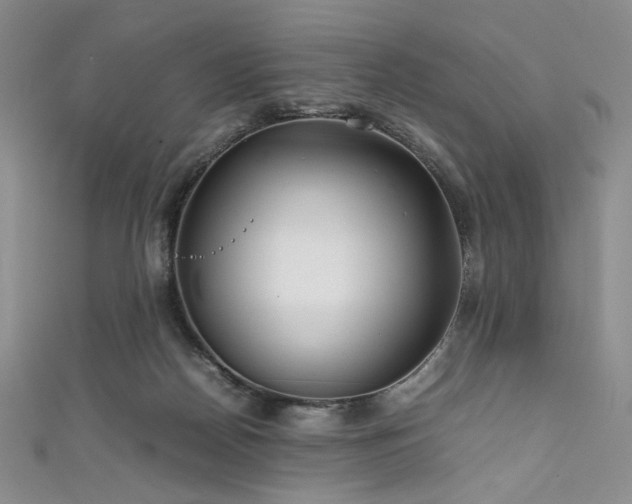 X0000111840170200907231415