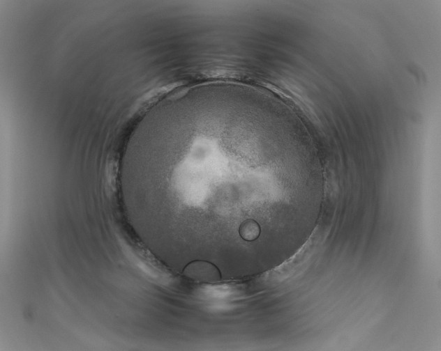 X0000111840171200907231415