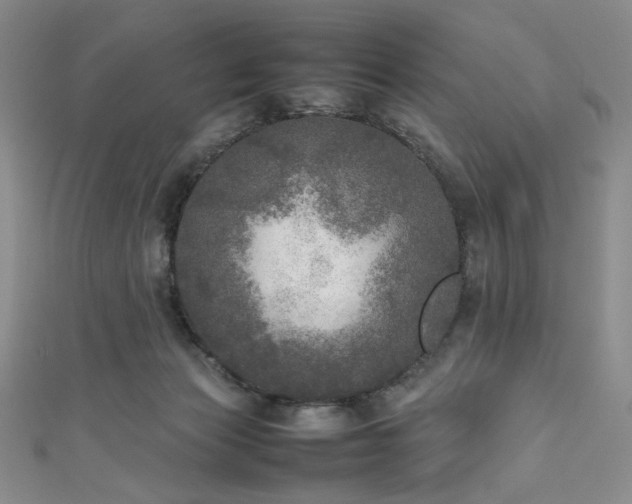 X0000111840173200907231415