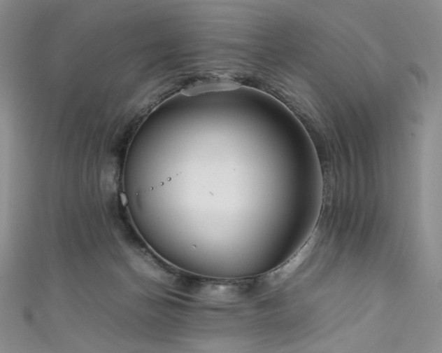 X0000111840174200907231415