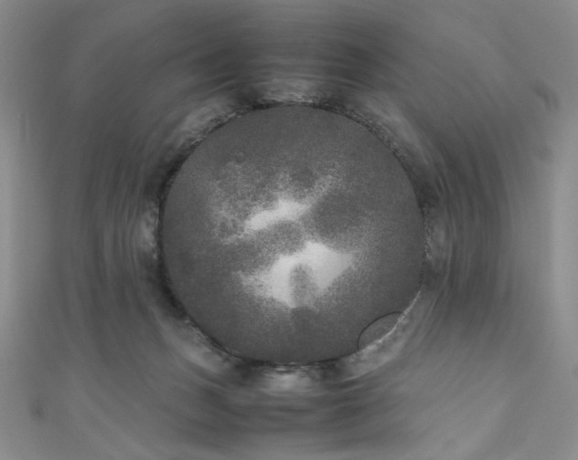 X0000111840175200907231415