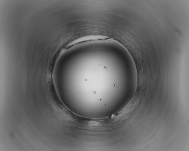 X0000111840176200907231415