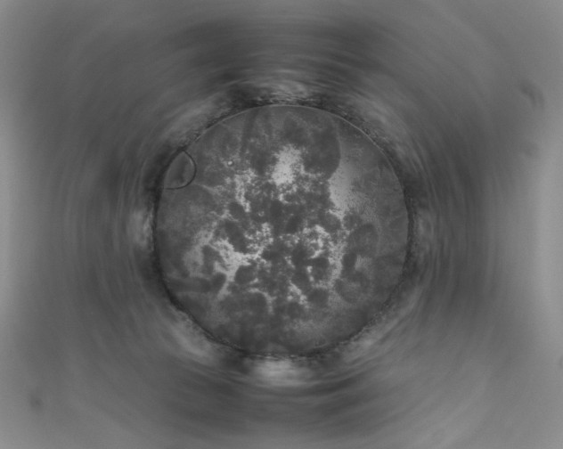 X0000111840177200907231415